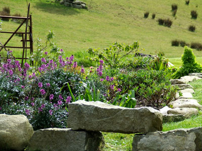 the flowerbed by the picnic lawn