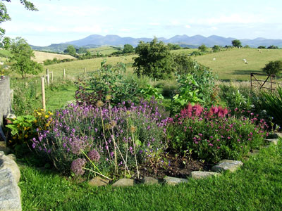 flowers, fuit garden, mountains