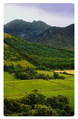 mourne