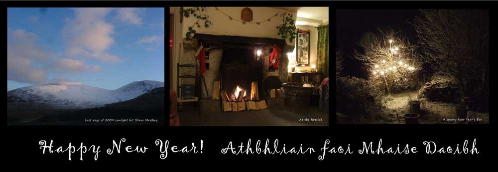 Happy New Year from Turnip House