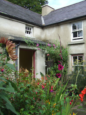 Turnip House