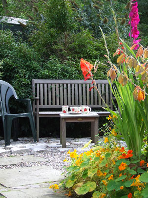 The Garden