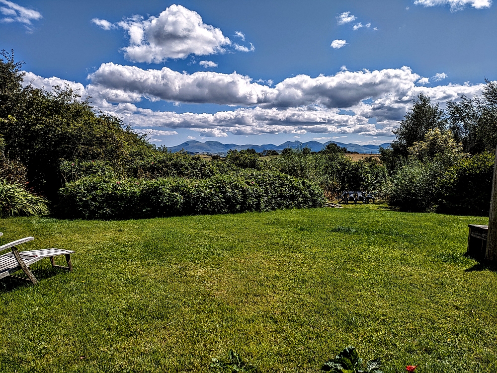 the lawn